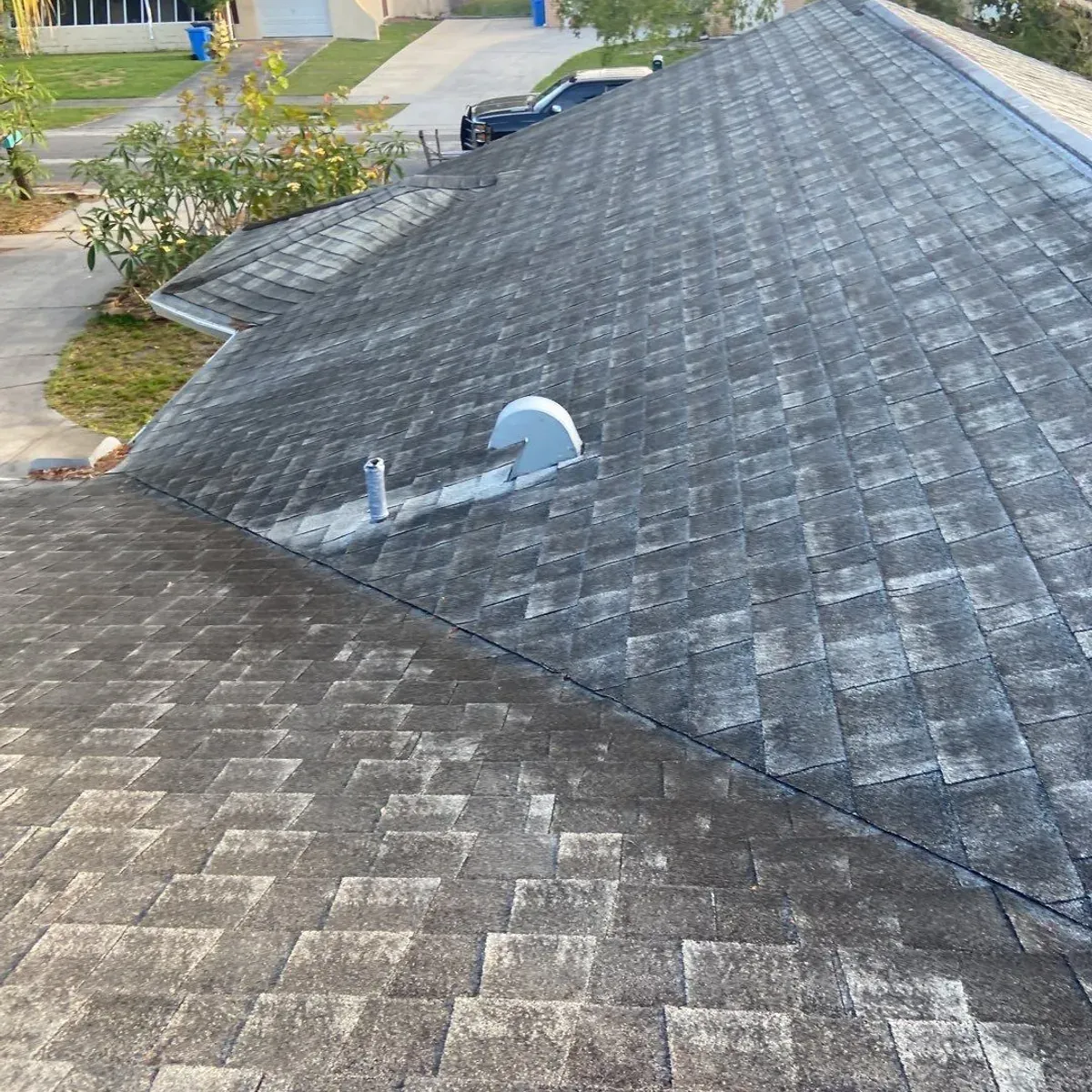 Oak Cir - Tampa, FL