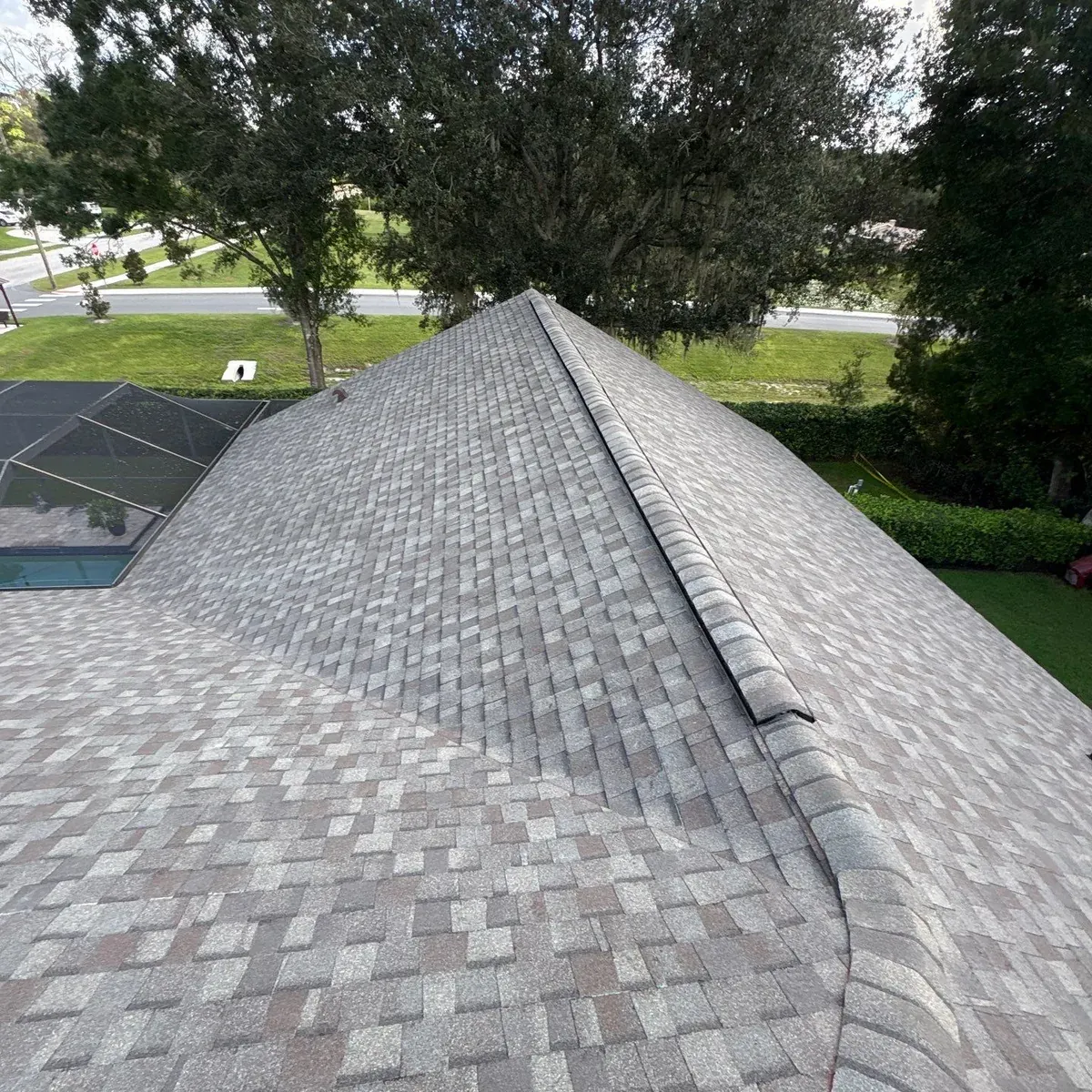 Camphor Cove Dr - Lutz, FL
