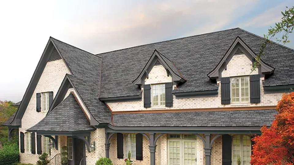 Woodland Shingles