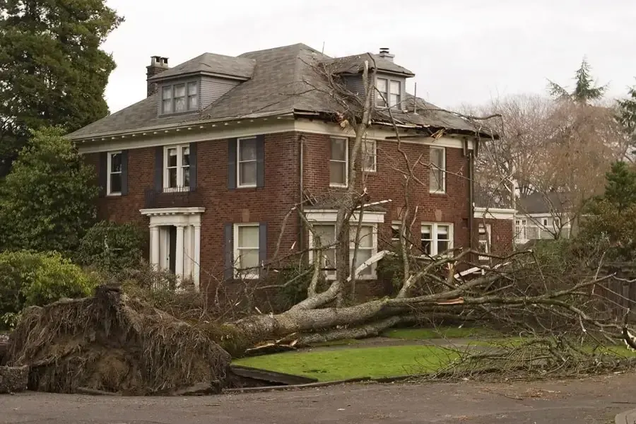 Will Insurance Replace My Roof After a Storm in Florida?