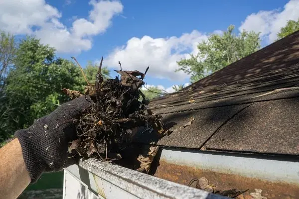 Roof Maintenance in Tampa, FL