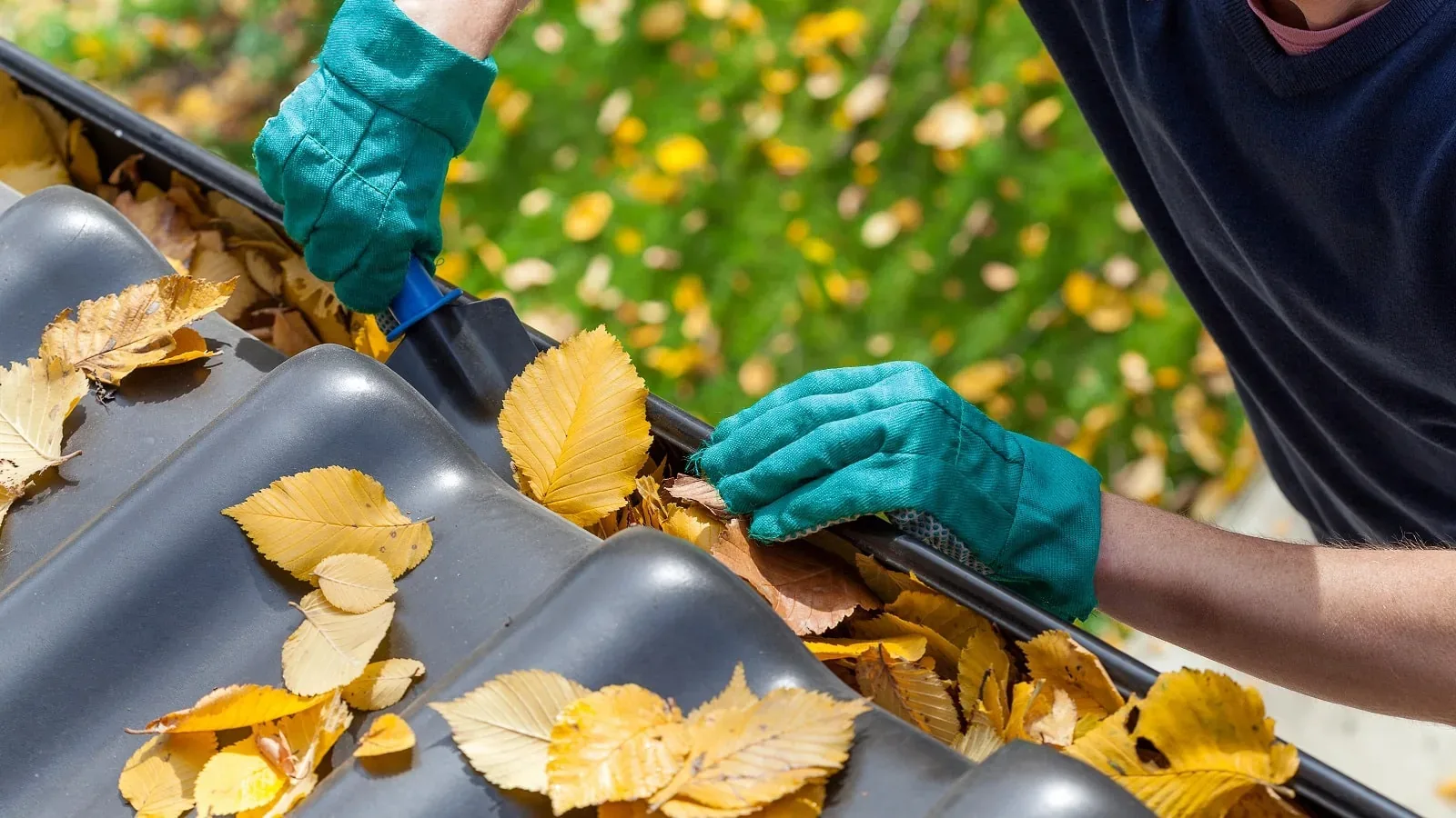 Roof Maintenance