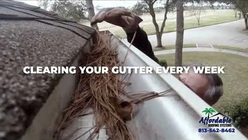 Hire A Local Tampa Roofer Rather Than An Out-Of-Town Roofer