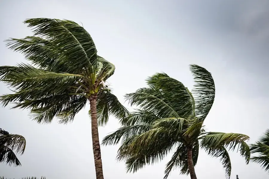 How Tampa Weather Damages Roofs