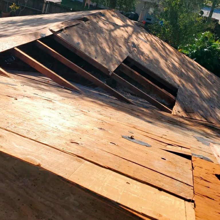 tampa-roofing-29566399-04-min