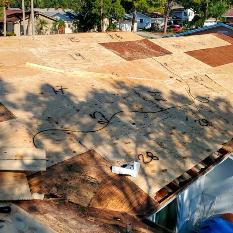 tampa-roofing-29566399-10-min
