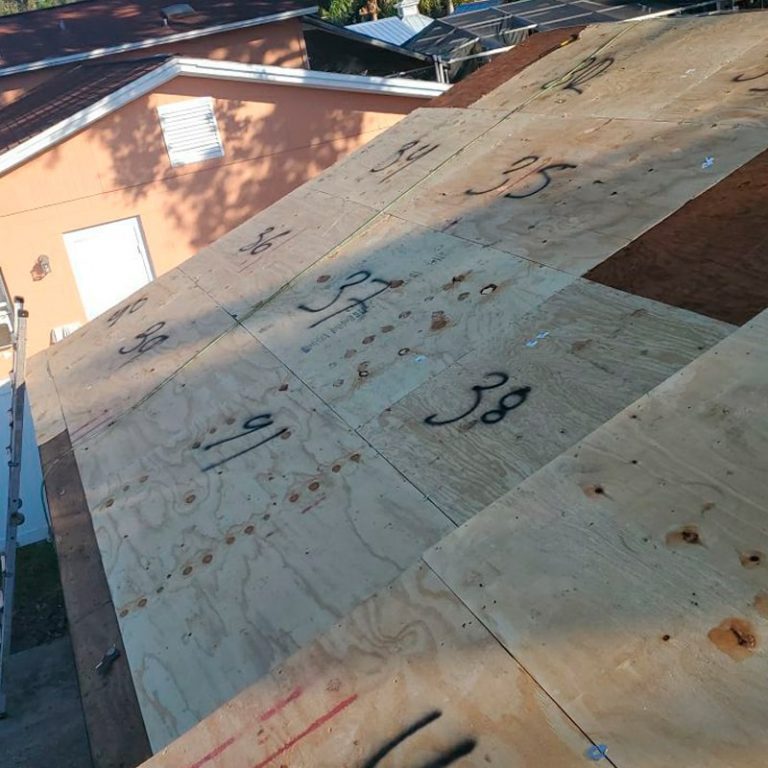 tampa-roofing-29566399-11-min