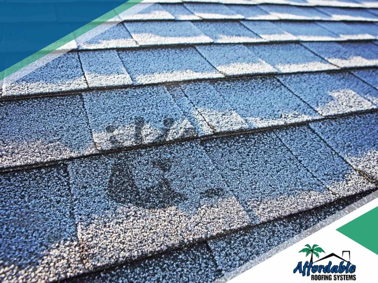 Factors that can Affect Your Roof's Lifespan in Tampa