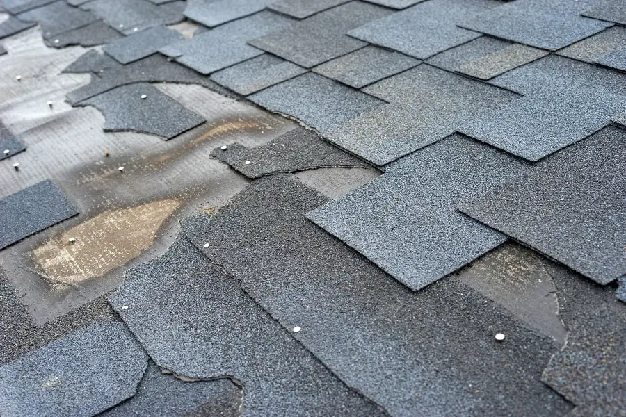 Missing, Lifted, or Curled Shingles